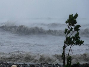 Tayvan'da Fung-Wong Tropik Fırtınası nedeniyle 3 bin 393 kişi tahliye edildi