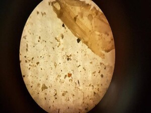 İnsanlar, günde on binlerce mikroplastik parçacığı soluyor olabilir