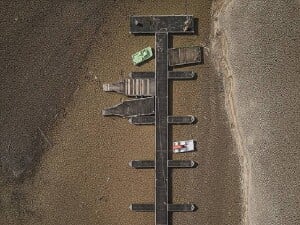 Rapor: Avrupa'nın çevre durumu iyi değil