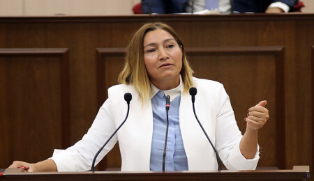 Yasemi Öztürk: Long Beach bölgesinde yapılan yüksek binalarda kimler oturuyor?