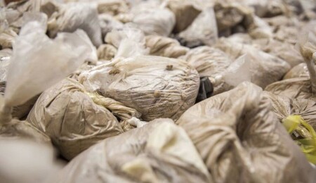 Global Cocaine Market Hit New Record Highs: UNODC