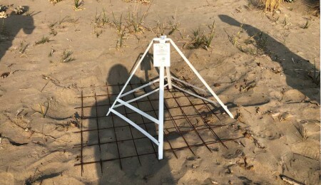 Double Minimum Wage Fine for Those Damaging Caretta Caretta Nesting Sites