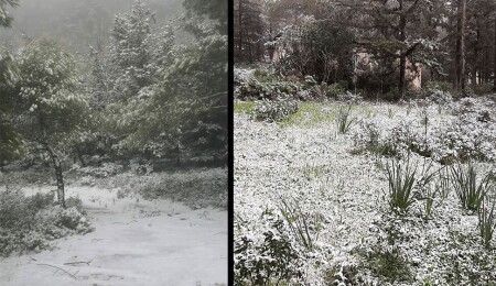 Küresel sıcaklık artışı aynı şekilde sürerse 2100 yılında karadaki buzul kütlesinin yüzde 32’si kaybolabilir