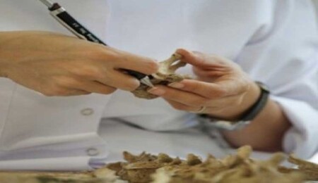 Güney Kıbrıs'ta çok küçük kemik kalıntılarının genetik analizi sonucunda 6 yeni kimlik tespit edildi