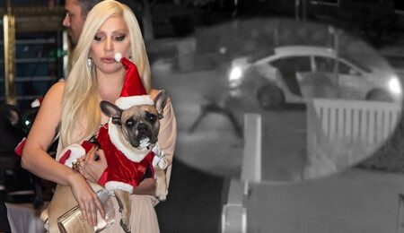 Lady Gaga, Netflix'in en popüler dizisinde yer alacak
