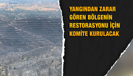 Mersinlik’te yangında zarar gören habitat için komite kuruluyor