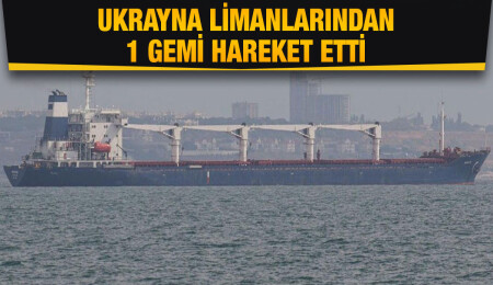 Tahıl sevkiyatı kapsamında Ukrayna'dan bir gemi daha hareket etti