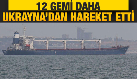 Tahıl sevkiyatı kapsamında 12 gemi daha Ukrayna'dan hareket etti