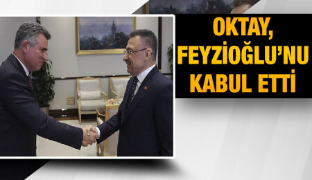 Fuat Oktay, Metin Feyzioğlu’nu kabul etti