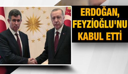 Recep Tayyip Erdoğan, Metin Feyzioğlu'nu kabul etti