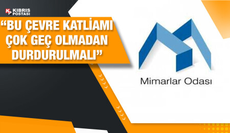 Mimarlar Odası: Bu kez kaplumbağalar da doğayı kurtaramayacak!