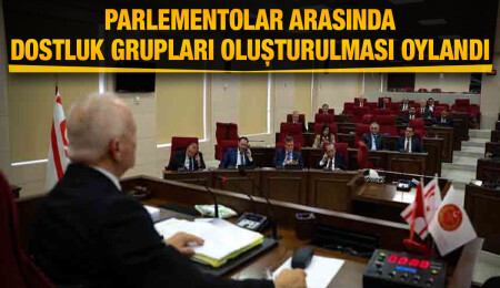 Cumhuriyet Meclisi'nde dostluk grupları oy birliğiyle kabul edildi