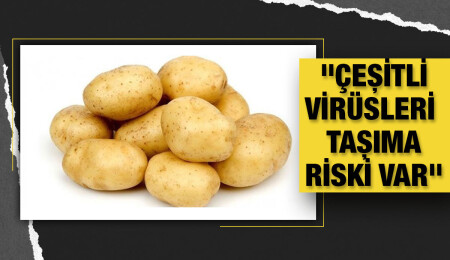 Kıbrıs Türk Patates Üreticileri Birliği: Tohumluk patatesler ülkedeki mühendisler tarafından kontrol edilmeden getirildi