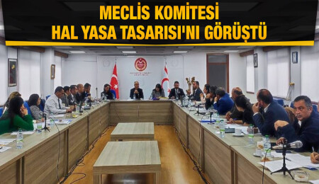 Meclis Komitesi Hal Yasa Tasarısı'nı görüştü