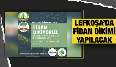Lefkoşa Gençlik Ormanı’na yarın fidan dikilecek