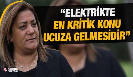 Gülşah Sanver Manavoğlu: “Kablo ile elektrik konusunda çok fazla miktarda soru işareti var”