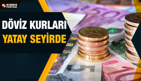 Euro 20,49 liradan, sterlin 22,99 liradan güne başladı
