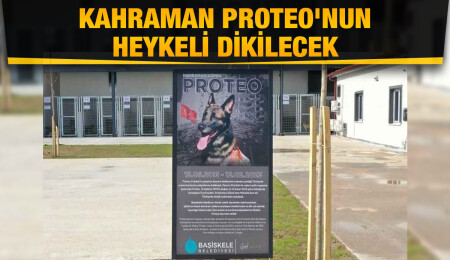 Arama kurtarma köpeği 'Proteo'nun ismi Kocaeli'de yaşatılacak