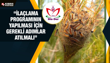 Biyologlar Derneği: Çam kese böceğine karşı havadan ilaçlama yapılmazsa geri dönüşü olmayan tahribat yaşanacak