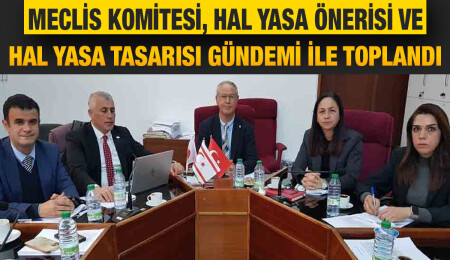 Meclis Komitesi’nde Hal Yasa Tasarısı görüşülüyor