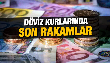 Dolar 18,88 liradan, euro 20,10 liradan güne başladı