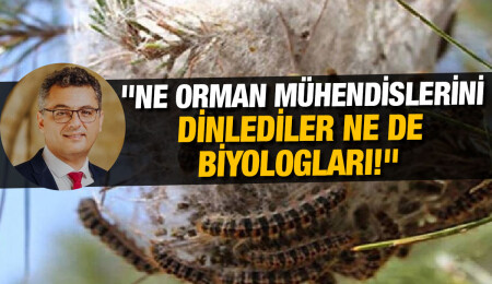 Tufan Erhürman: 2021 ve 2022'de çam kese böceğine karşı hiçbir mücadele yürütülmedi