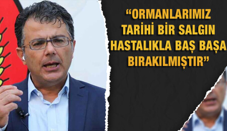 Asım Akansoy: Ormanların bugünkü halinin sorumlusu Dursun Oğuz ve ekibidir!