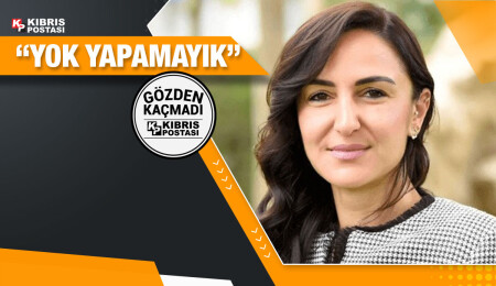 Tarihi itiraf : Biz de istiyoruz yapamıyoruz