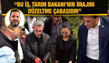 Hasan Sarpten: Predatör böceklerin çam kese böceği üzerindeki etkisi yok denecek kadar az