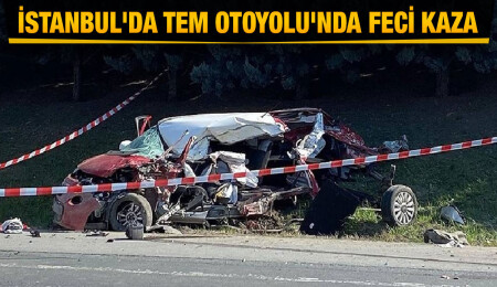 İstanbul'da TEM Otoyolu'ndaki kazada 6 kişi hayatını kaybetti