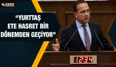 Erkut Şahali’den çam kese böceği eleştirisi: Mücadele programında geç kalındı, sorun tüm yurtta görüldü