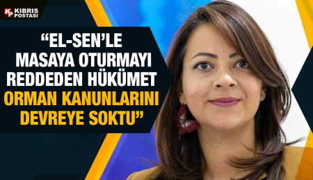 Mine Atlı: AKSA’nın Teknecik Elektrik Santrali’ne girmesi, devlet eliyle kamu malına çökmektir