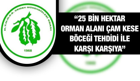 Orman Mühendisleri Odası'ndan Dursun Oğuz'a: Ülke enerjisini ve parasını boş yere harcıyorsunuz