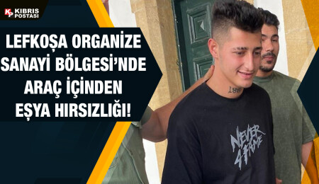 Araç içerisinden eşya çalan Muhammet Kadir Varan ve Azat Nur Şirin, mahkeme huzuruna çıkarıldı