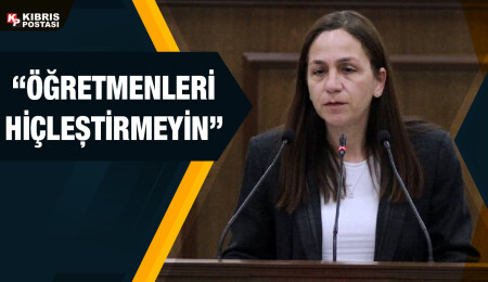 Şifa Çolakoğlu: Öğretmen bu halkın düşmanı değildir