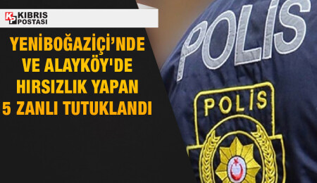 Yeniboğaziçi’nde ve Alayköy'de hırsızlık: Toplamda 5 kişi tutuklandı