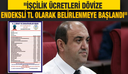 Devrim Barçın: Yasasını yapalım ve ülkedeki tüm ücretler dövize endeksli TL olsun