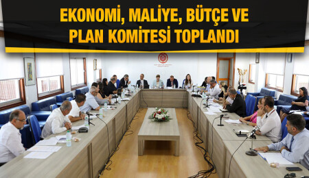 Şans oyunları ve gelir vergisiyle ilgili değişiklik yasa tasarıları komitede görüşülüyor