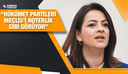 Mine Atlı: Bu Meclis’in işlevini yitirdiğinin artık kabul edilmesi gerekiyor