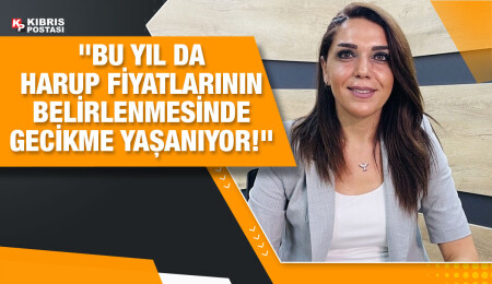 CTP'li Fide Kürşat: Harup fiyatlarından haber yok!