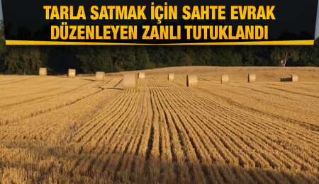 Resmi evrak sahteledi, tutuklandı