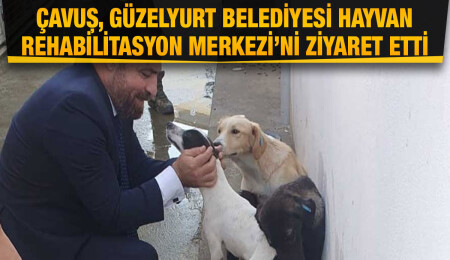 Bakan Hüseyin Çavuş: Tüm canlıların yaşam şartlarının iyileştirilmesi gerekiyor