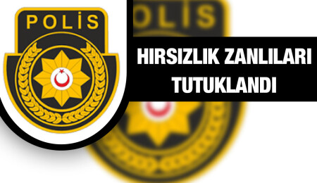 Dipkarpaz'da park halindeki araçtan para çalan zanlılar tutuklandı