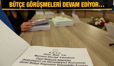 Komitede Kamu Hizmeti Komisyonu Başkanlığı bütçesi ele alınıyor