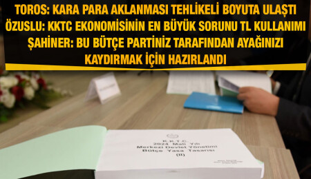 Ekonomi ve Enerji Bakanlığı bütçesi komitede görüşülüyor