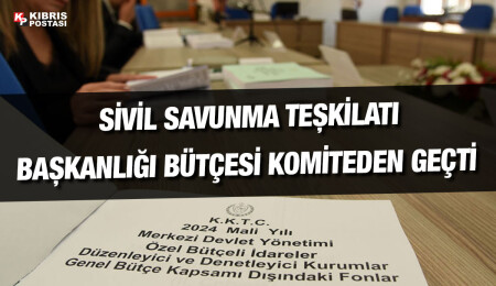 Sivil Savunma Teşkilatı Başkanlığı bütçesi komitede oy birliğiyle onaylandı