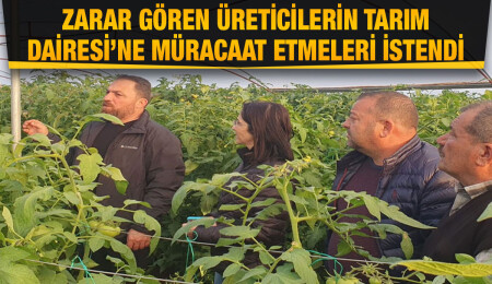Bakan Çavuş, şiddetli rüzgar sebebiyle seralarda meydana gelen zararı yerinde inceledi