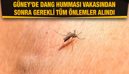Güney’de dang humması tedavisi gören hastaların sağlık durumu iyi, taburcu olmaları bekleniyor