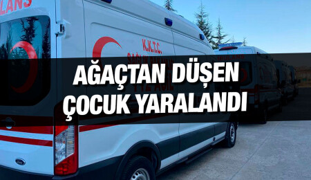 Zeytin toplamak için ağaca çıkıp 3 metre yüksekten düşen çocuk yaralandı