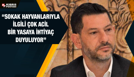 Ceyhun Kırok: Yurt dışından hayvan girişi yasaklanmalı